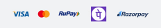 Guaranteed safe & secure checkout
